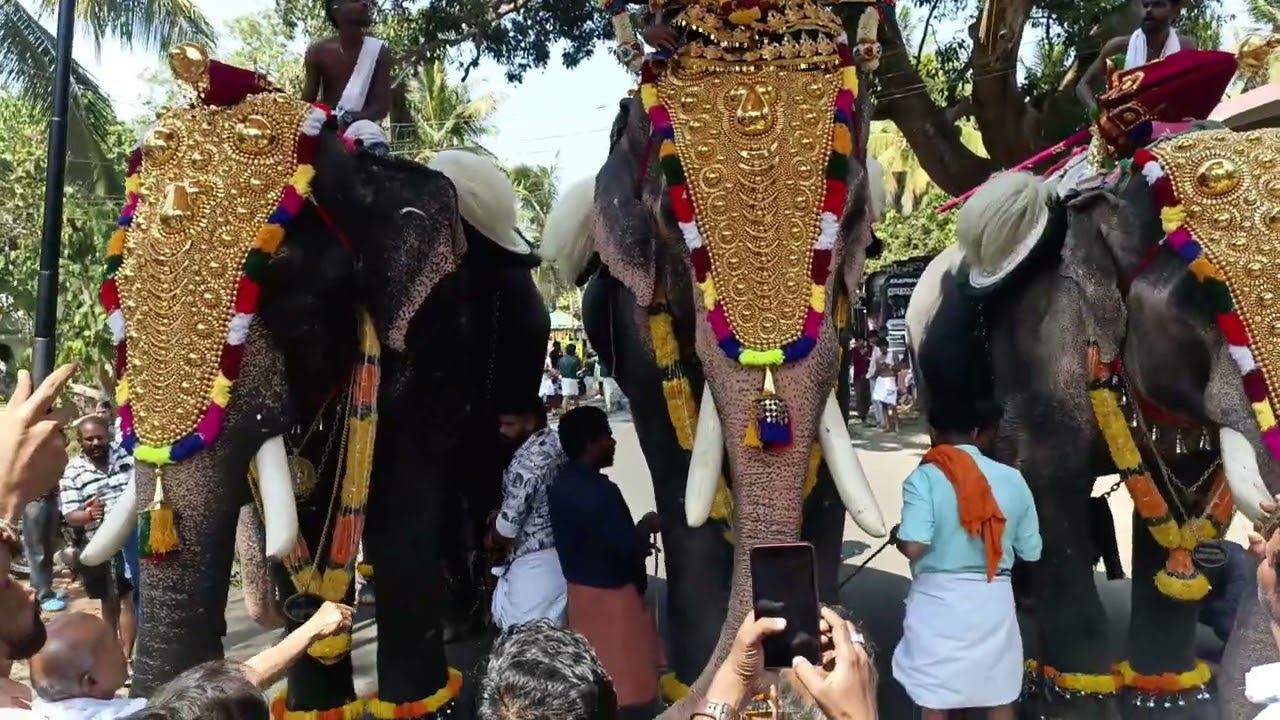Kuttiyankavu pooram 2026 kerala Elephant Festivals