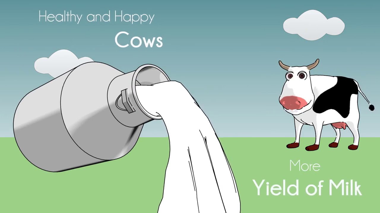 HATKO Farm Products Animation