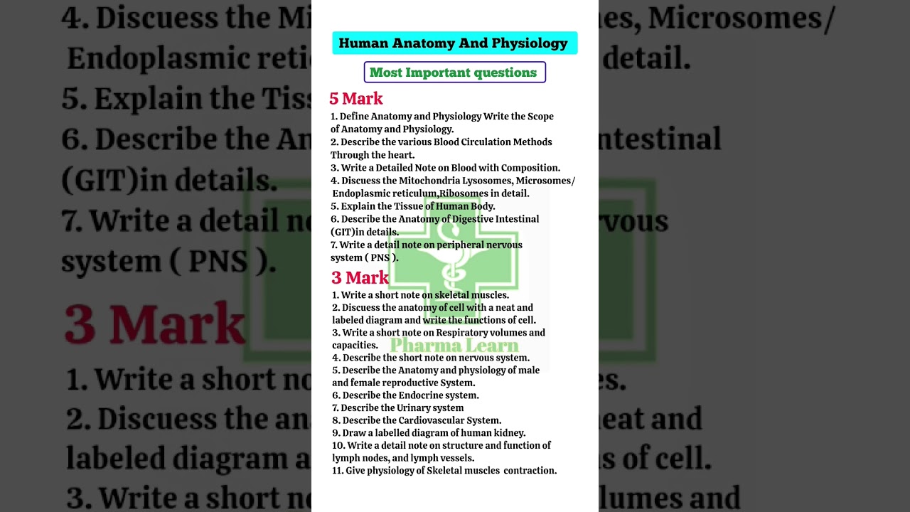 Human Anatomy and physiology most important questions 2024 ||