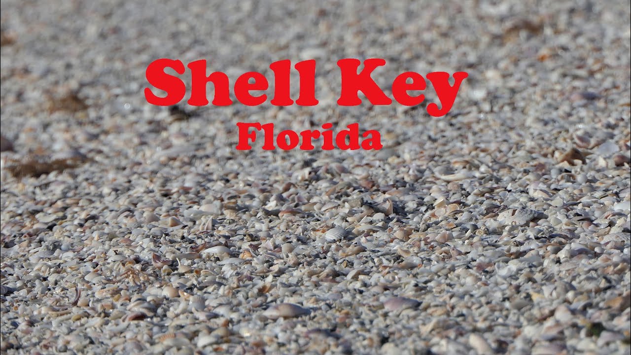 Paddleboaring Adventure: Fort De Soto Beach To Shell Key Florida * Famous Route