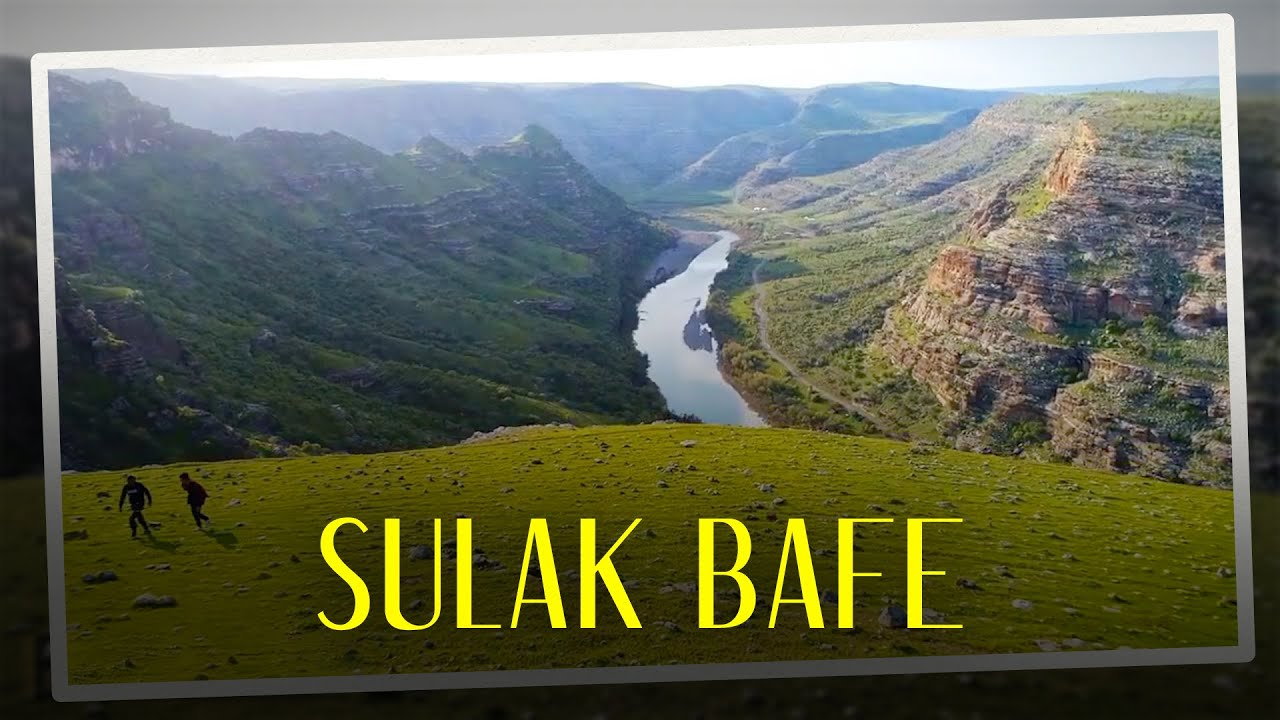 SULAK - BAFE