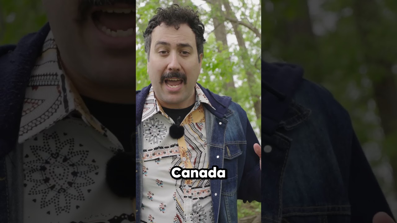 Actually, Canada is subsidizing the US
