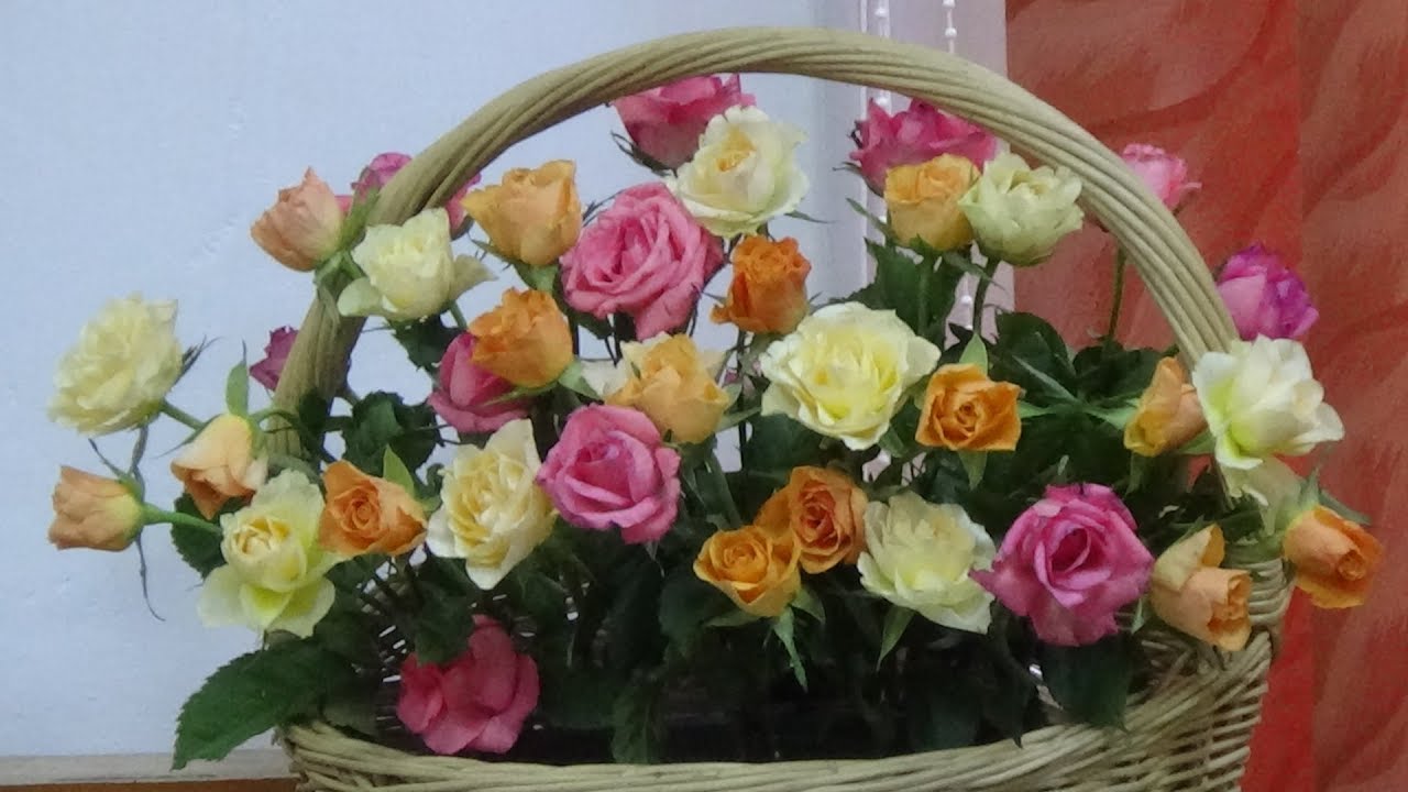 24.02.2019 p.m. - Biserica Crestina Baptista Speranta Susca
