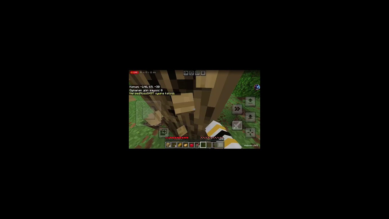 minecraft yayını