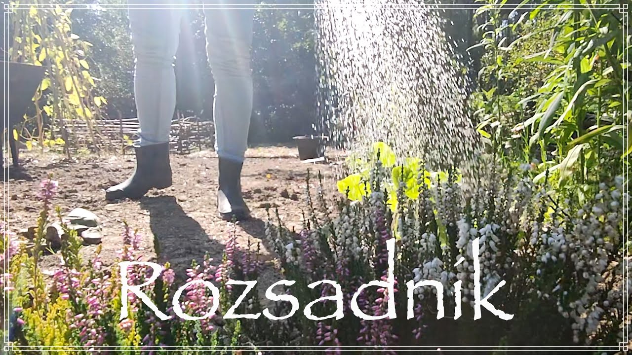 Rozsadnik na rośliny ozdobne