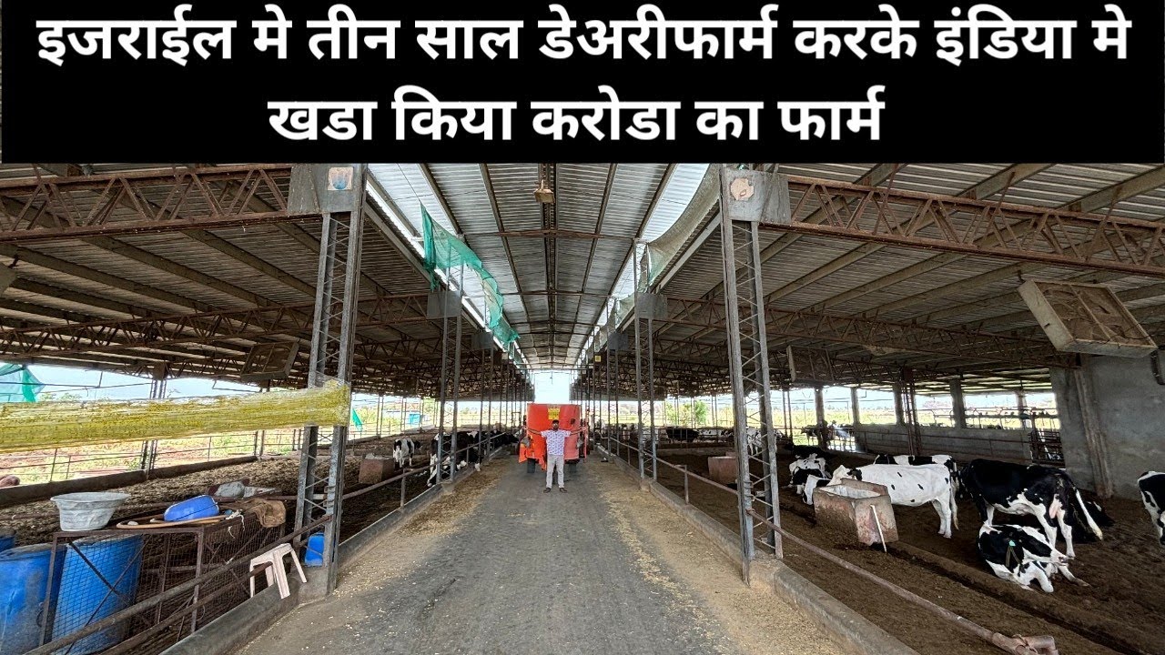 इंदोर मै बसा ये Hightech Dairy Farm| 100 Hf Cow Farm | Active Moo Dairy Farm