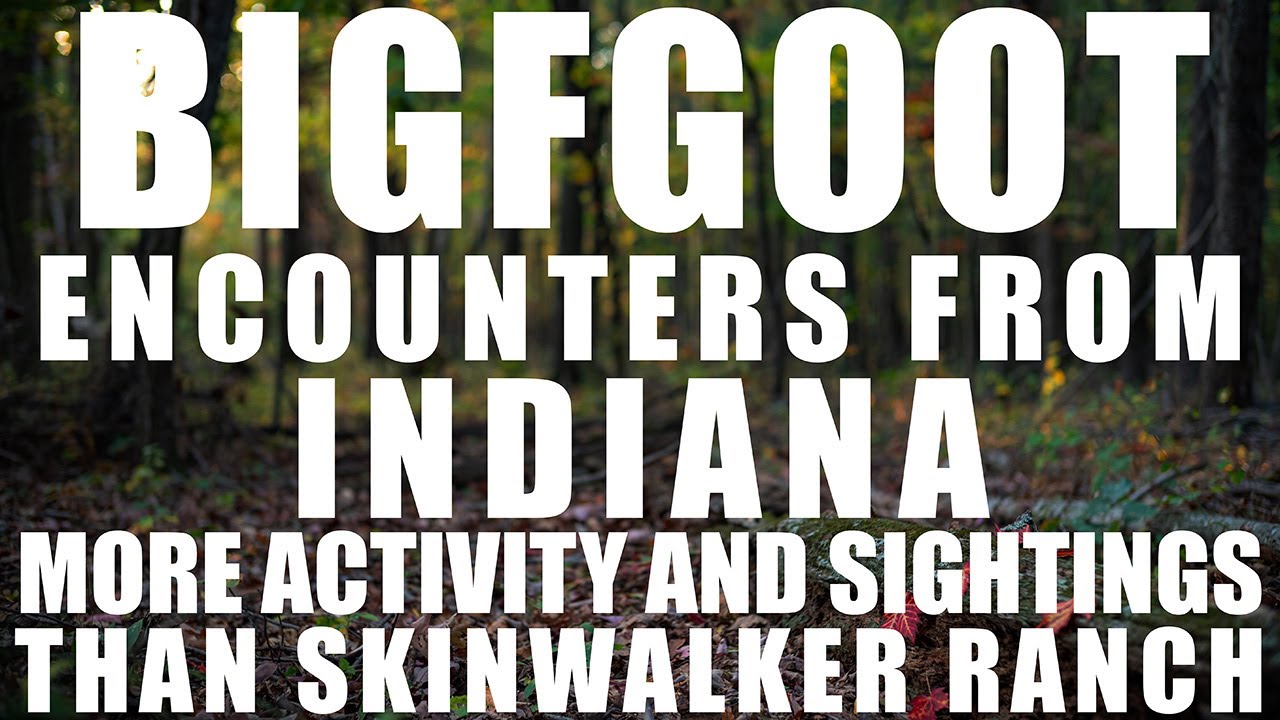 I HAVE A BIGFOOT SIGHTING EVERYDAY IN INDIANA | BFRO SAID I HAVE MORE ACTIVITY THAN SKINWALKER RANCH