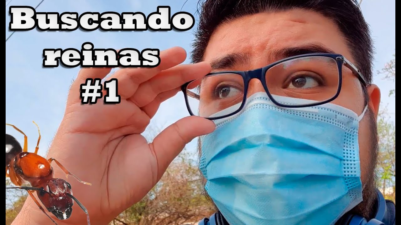 Buscando HORMIGAS REINAS #1 Mayo 2021 Jon-Ant