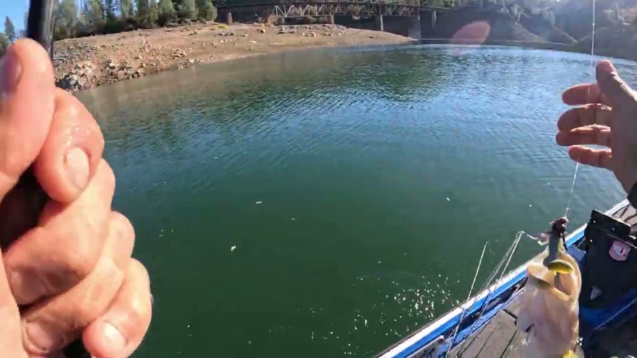 Learning Lake Shasta: Figuring Out This Deep, Complicated Lake