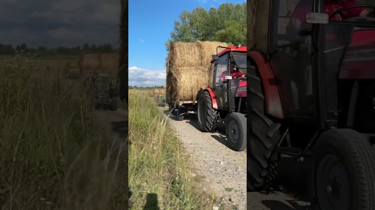 Zwożenie balot&oacute;w #bele  #traktory #masseyferguson #deutz_fahr #agro #farming