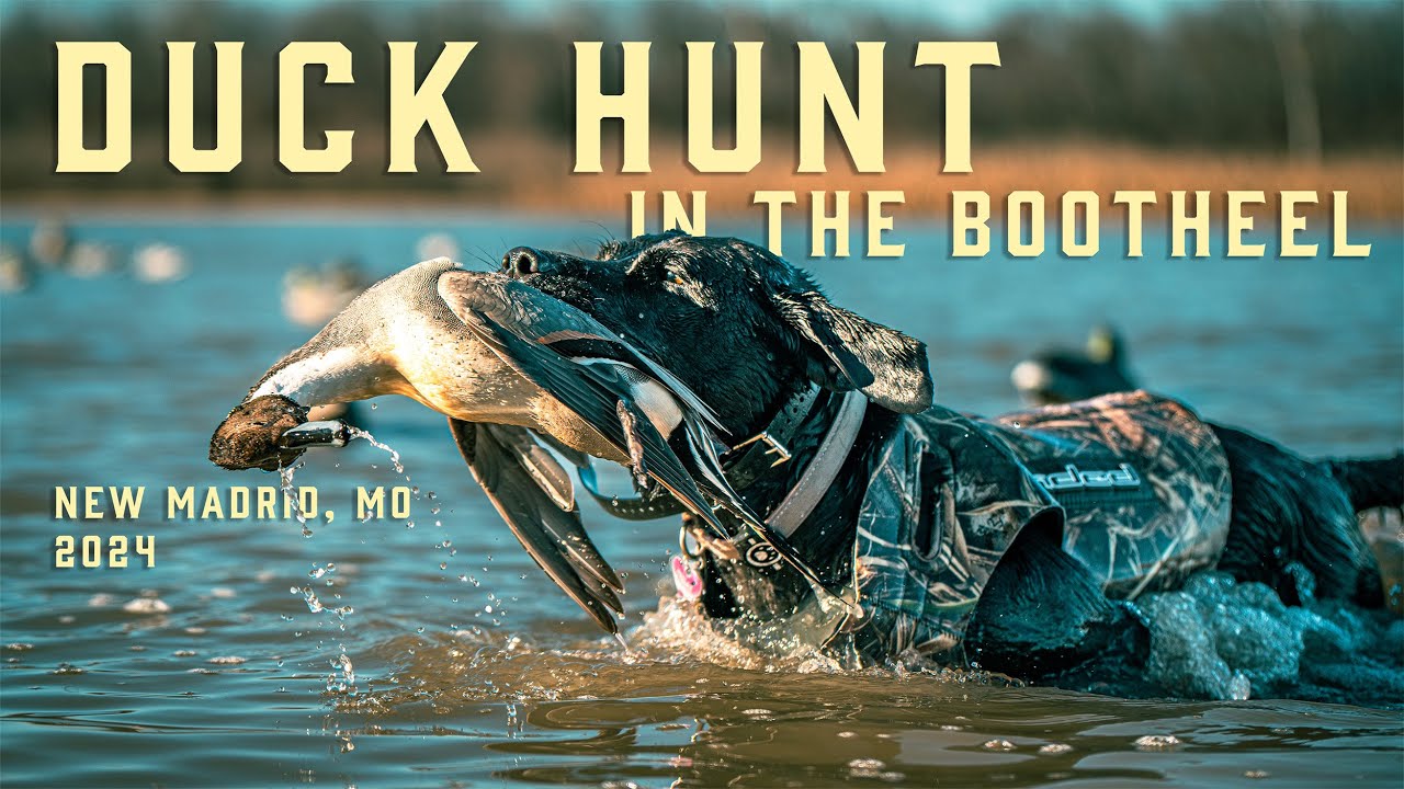 2024 Duck Hunting in Missouri Bootheel! - Hunt Highlight Video