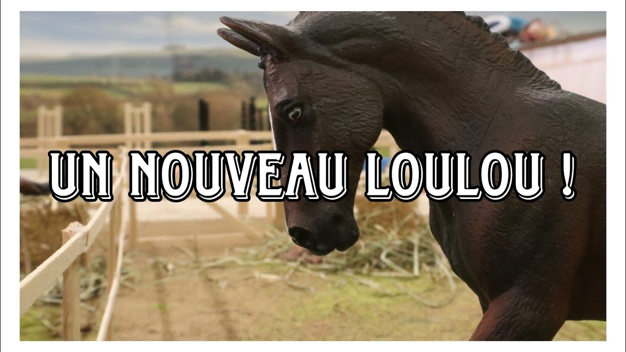 [VLOG] Dernier poulain 2023 et nouveau cheval au travail !