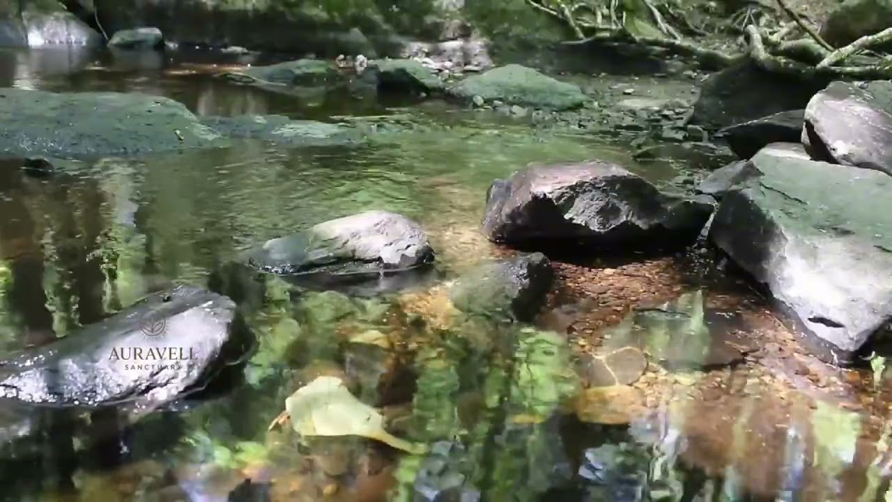 The Old Water Mill Meditation | Agra Waterfall Sounds for Deep Calm