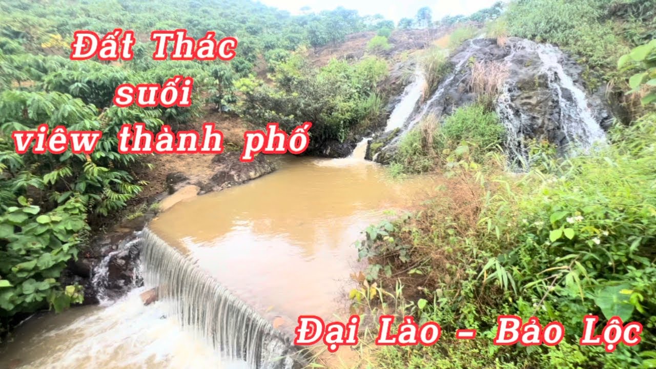 Đất viêw Đại Lào, Bảo Lộc | có thác, suối bao quanh, viêw thành phố | cách ql20 chỉ 1,5km