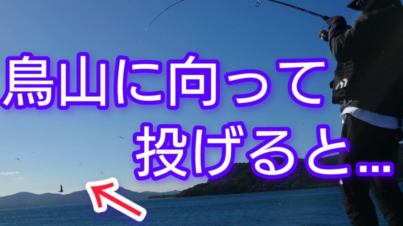 【ショアジギング】鳥山に向かってジグを投げると爆釣！青物連発。めっちゃ釣れるやん！ #北九州釣り #fishing #釣り #青物 #ブリ #ヒラマサ #サワラ #釣り釣りバンバン 