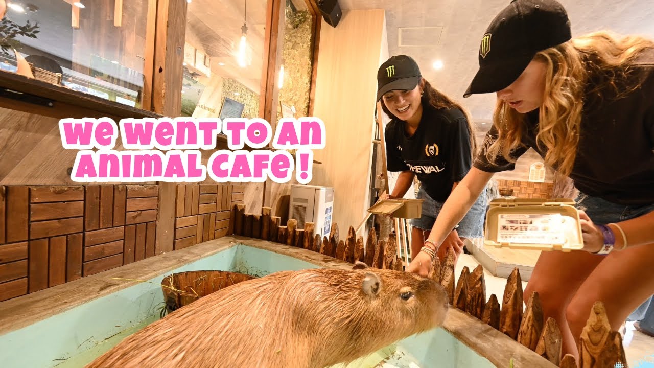WE GO TO AN ANIMAL CAFE IN JAPAN !!!