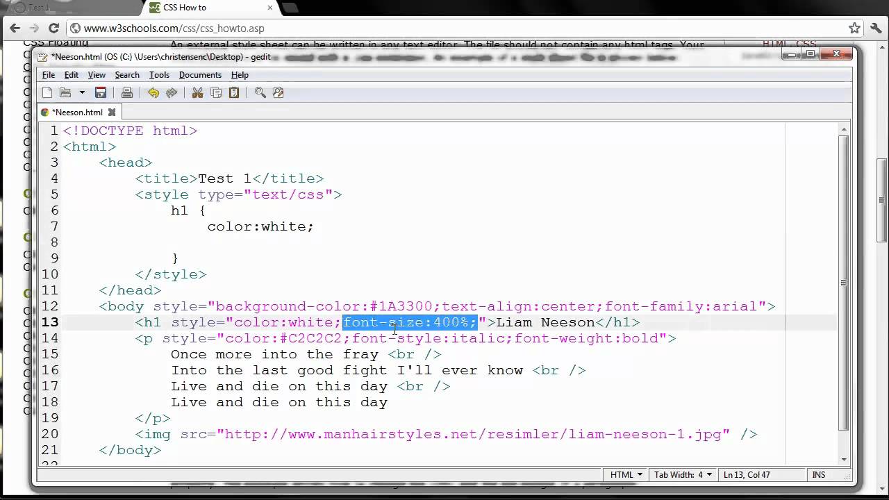 Web Design - Embedded CSS