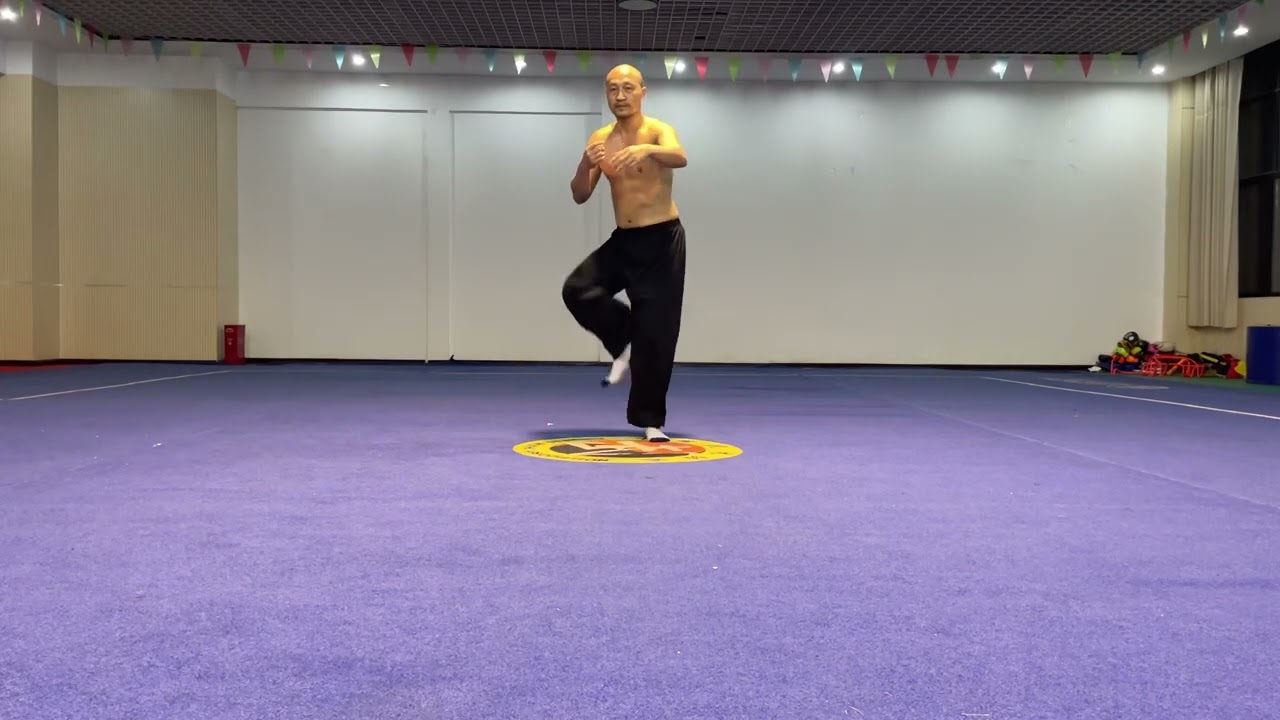 中劲道 太极 48式散手 Zhong Jin Dao, Taiji 48 Energy Flowing Forms