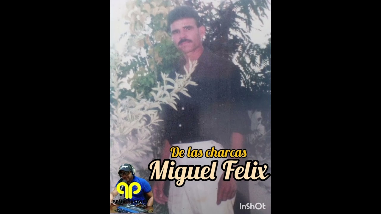 Miguel Feliz 