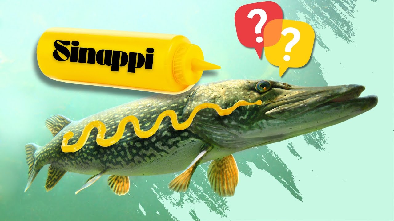 Sinappihauki