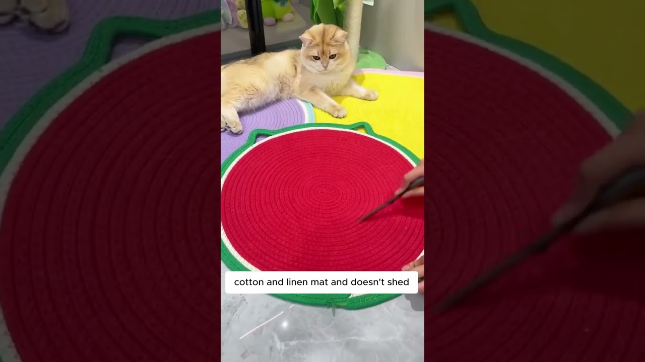 Stop scratches in their tracks&mdash;grab this Cat Scratching Pad today! 😻✨