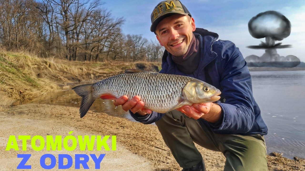 ATOMÓWKI Z ODRY I Klenie i rzeczny feeder na przedwiośniu.