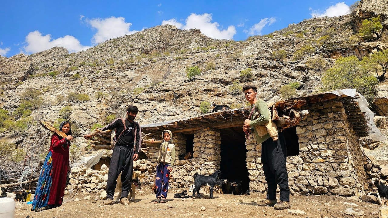 🌲🔥 Collecting firewood in Zagros mountains: life in difficult conditions 💪🏔️