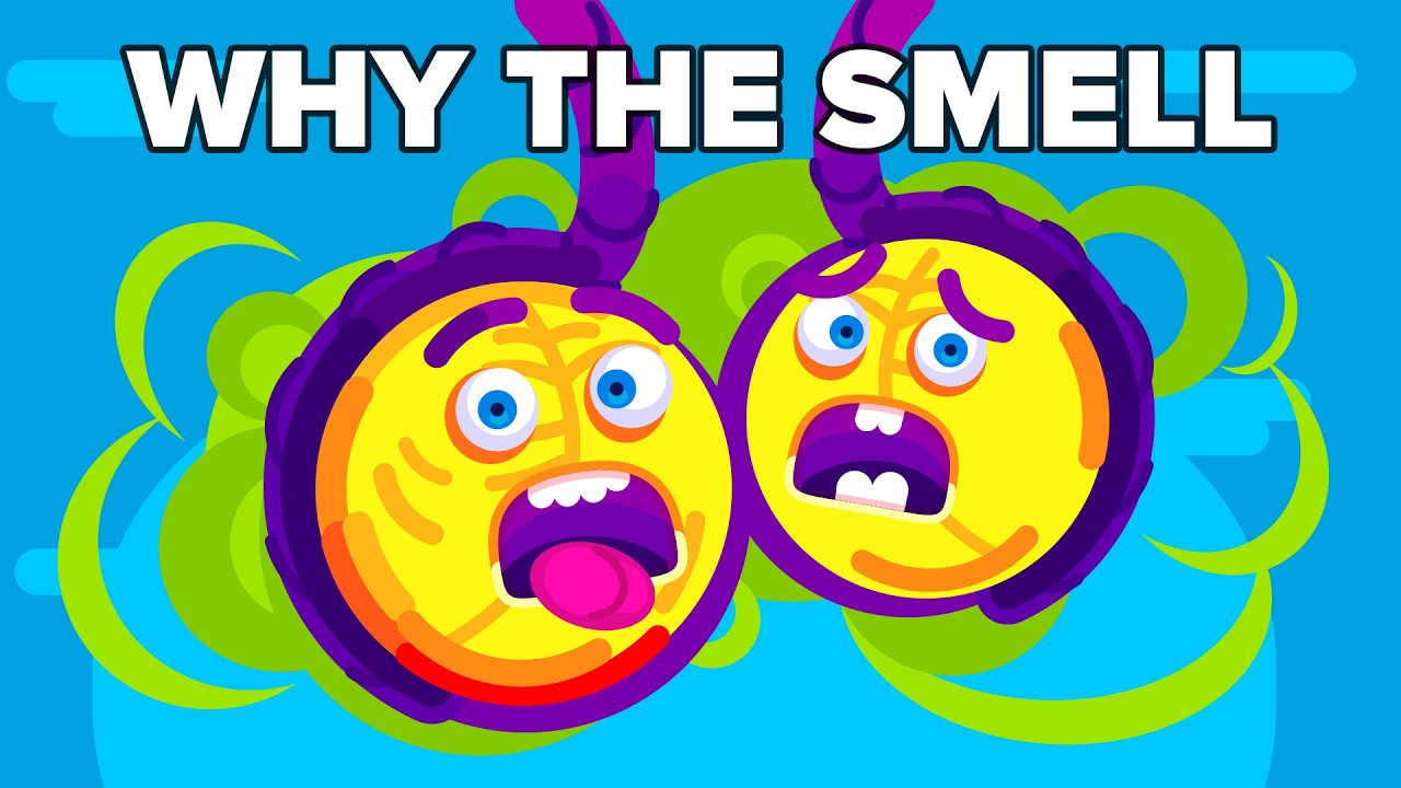 We&rsquo;ve Discovered Why Your Balls Smell, and It&rsquo;s Not Just Sweat