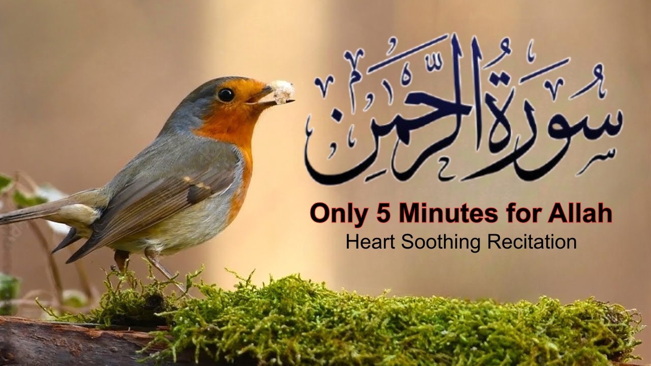 Surah Ar-Rahman Most Beautiful Voice in the World | @HealingHeartsQuran #surahrahman #islam