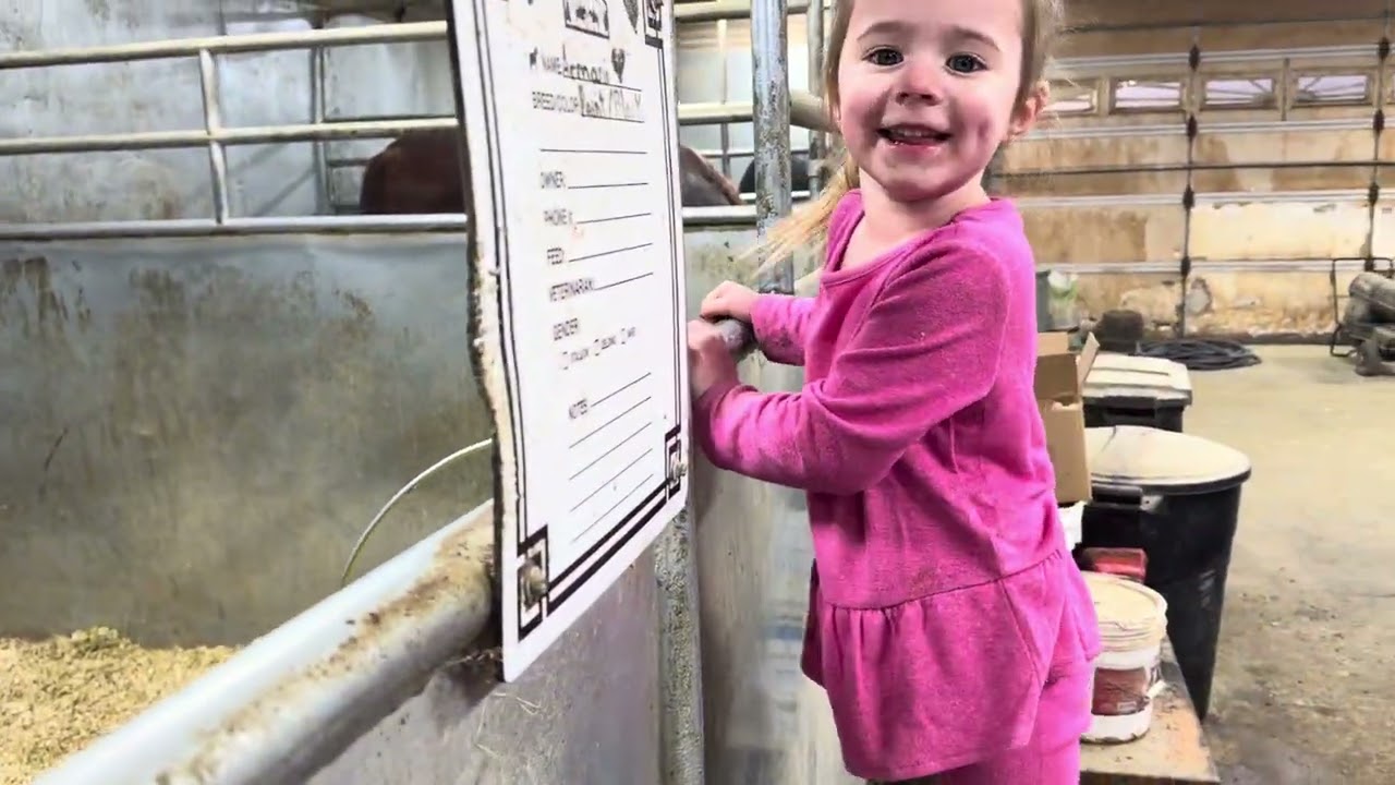 Спокойной ночи, лошади 🌙