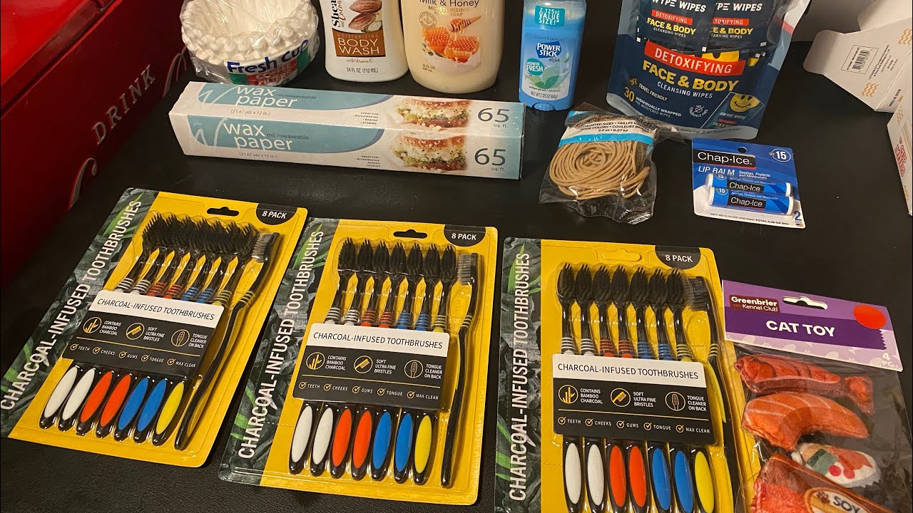 $16.78 Dollar Tree Haul plus Bonus Surprise 