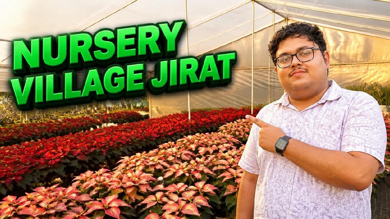 NURSERY VILLAGE JIRAT ll নার্সারী গ্রাম জিরাট #travelvlog