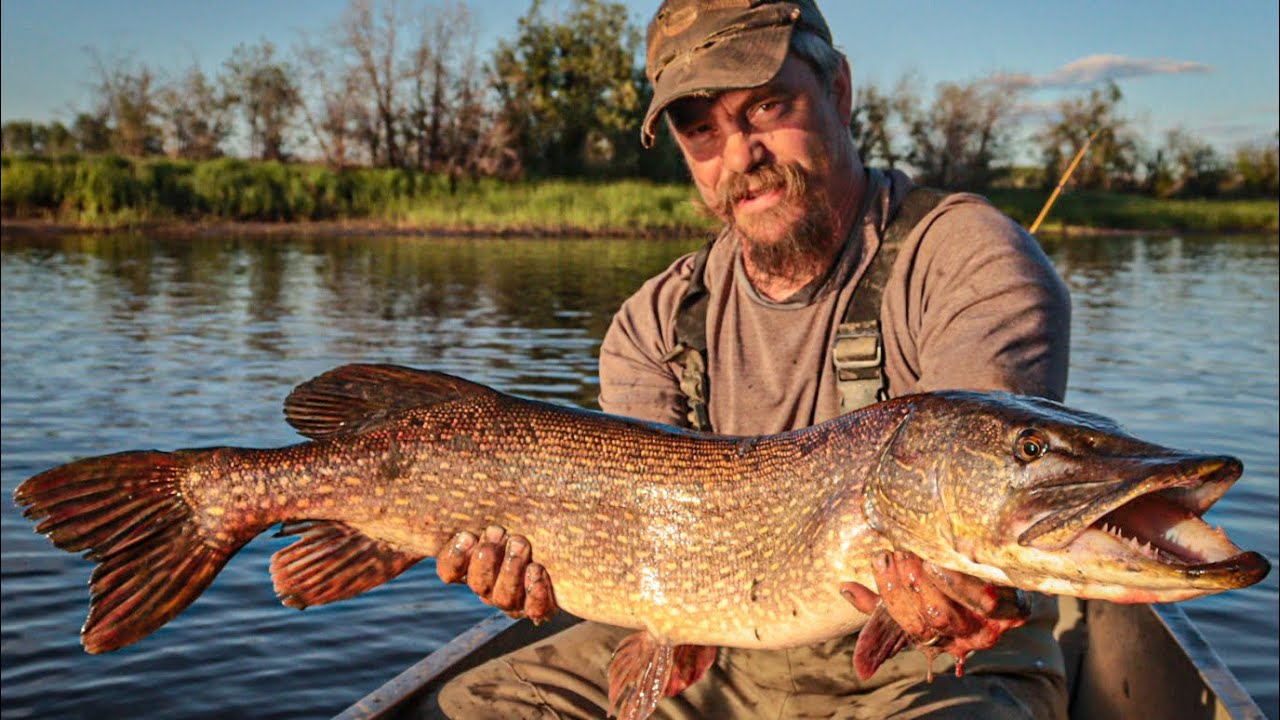 Northern Pike Fishing Minto Flats Alaska