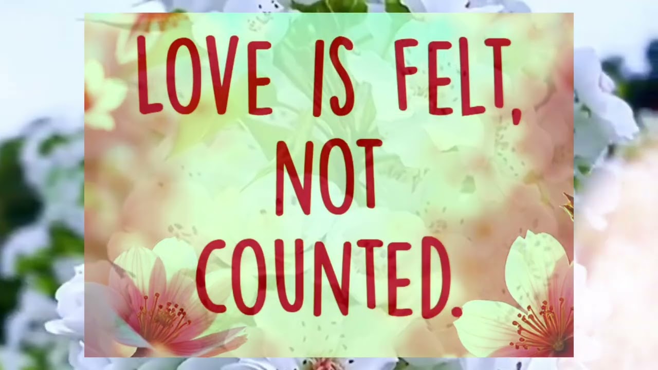 ❤️ Quotes about love #wise advice #smart words #motivational quotes 