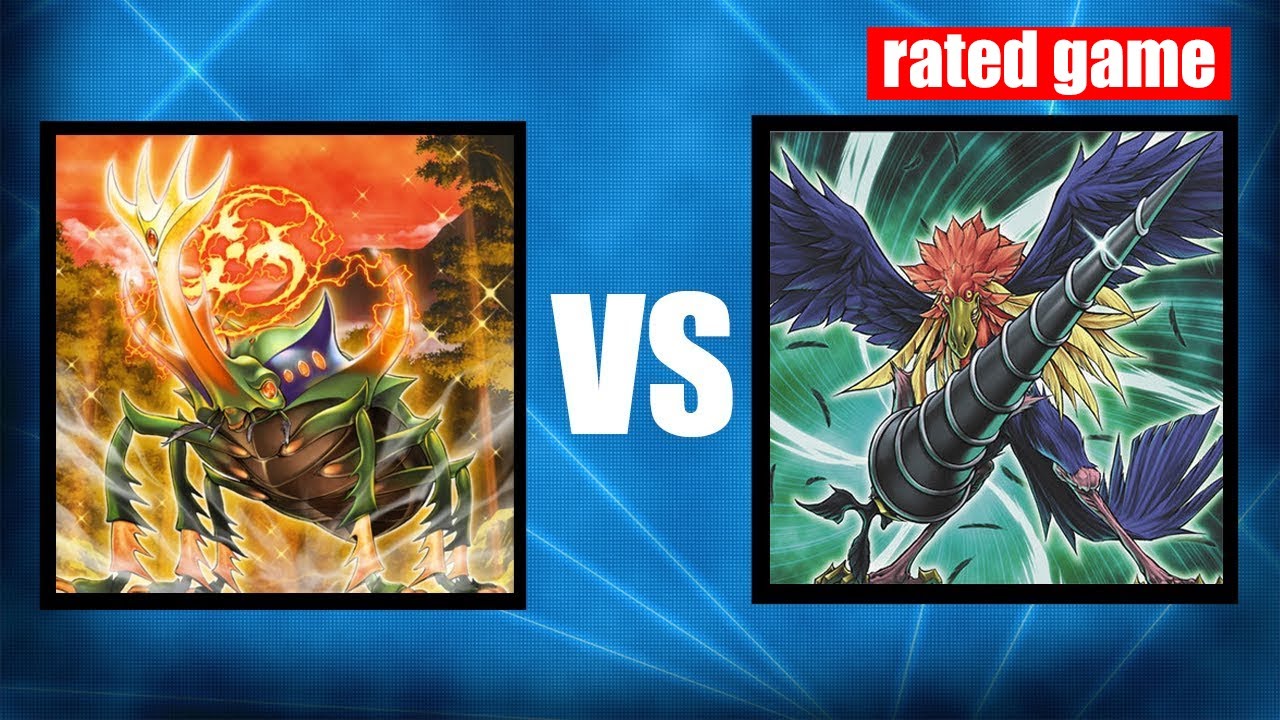 Beat the meta! Me (INSECTS) vs BLACKWINGS! Yugioh Edison Format replays