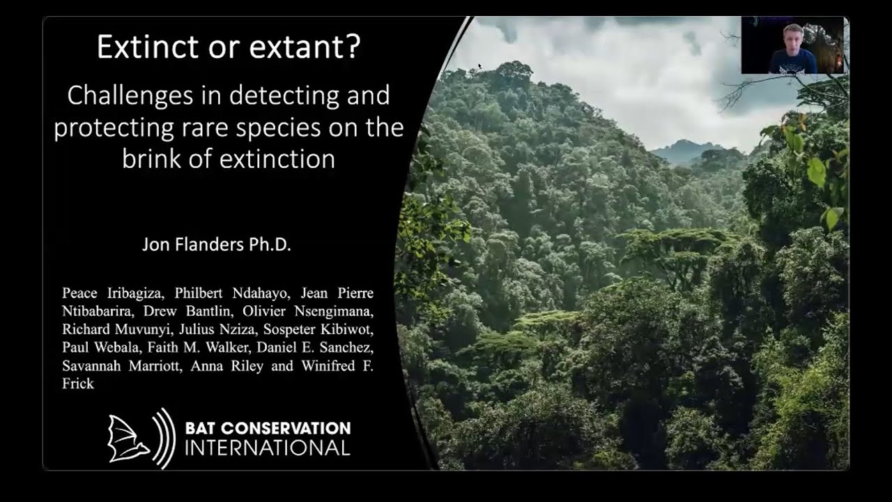 Uncovering the Life History Traits of the Critically Endangered Hill&rsquo;s Horseshoe Bat