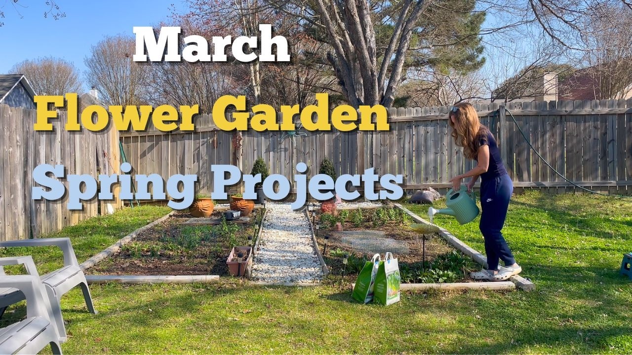 March Garden 🌼Elephant Ears, Dahlias, Spring Garden Cleanup | Zone 8B