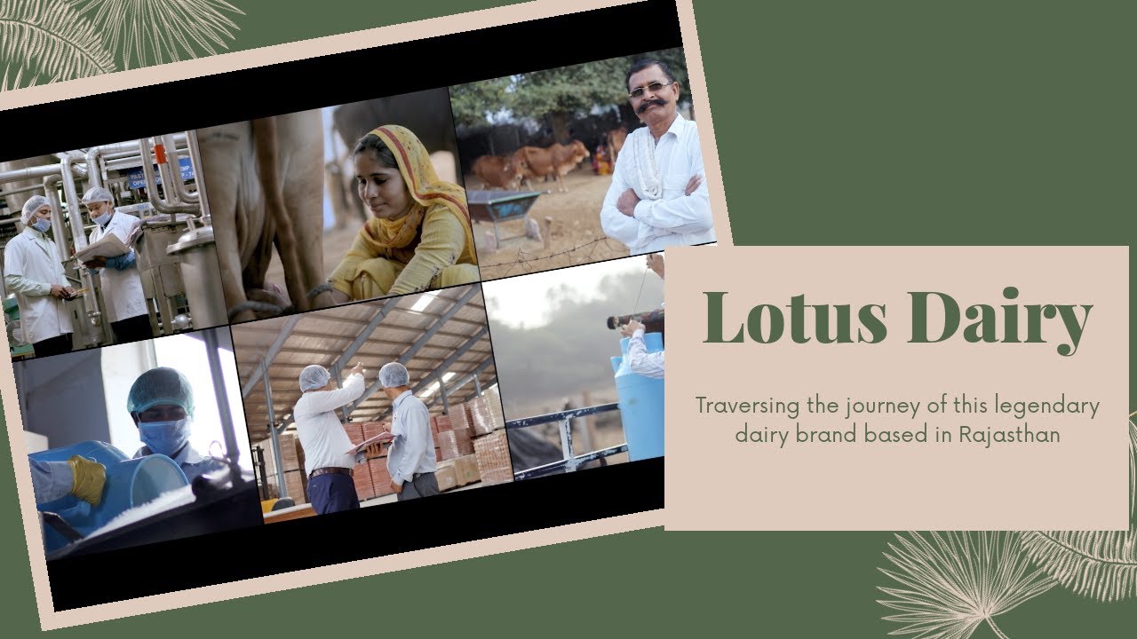 The Legacy of Lotus Dairy  - Range of premium milk products and brands