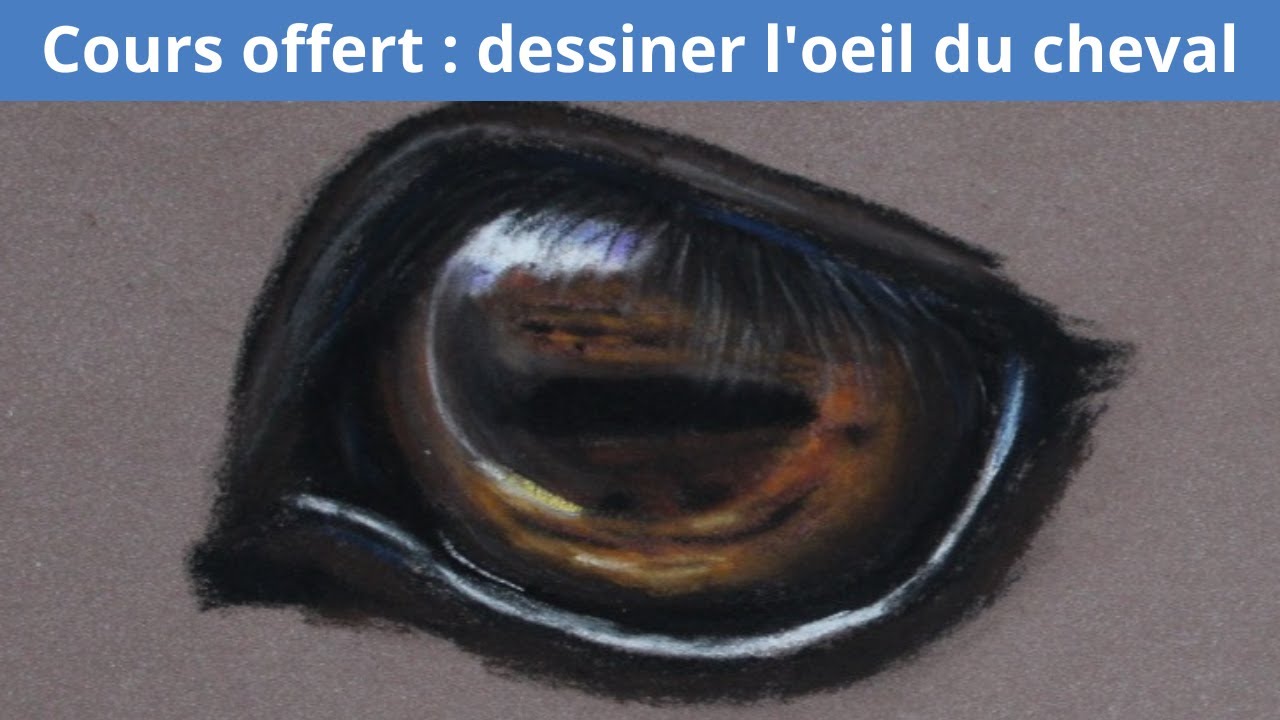 comment dessiner un oeil de cheval : cours offert
