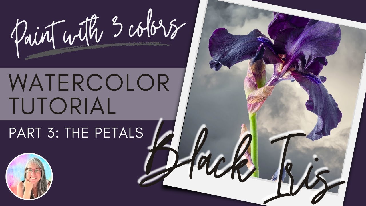 Black Iris Part 3: Painting the watercolor flower petals first layers