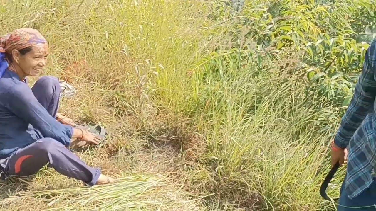 कुछ हंसी मजाक,,, घसेरी दगड्या 🥰🥰🥰😊😊🙏🙏