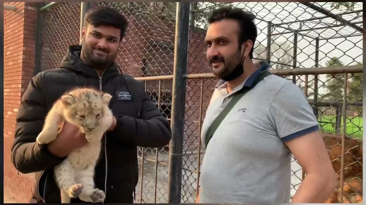 Lion farm pakistan k sub sy bara farm