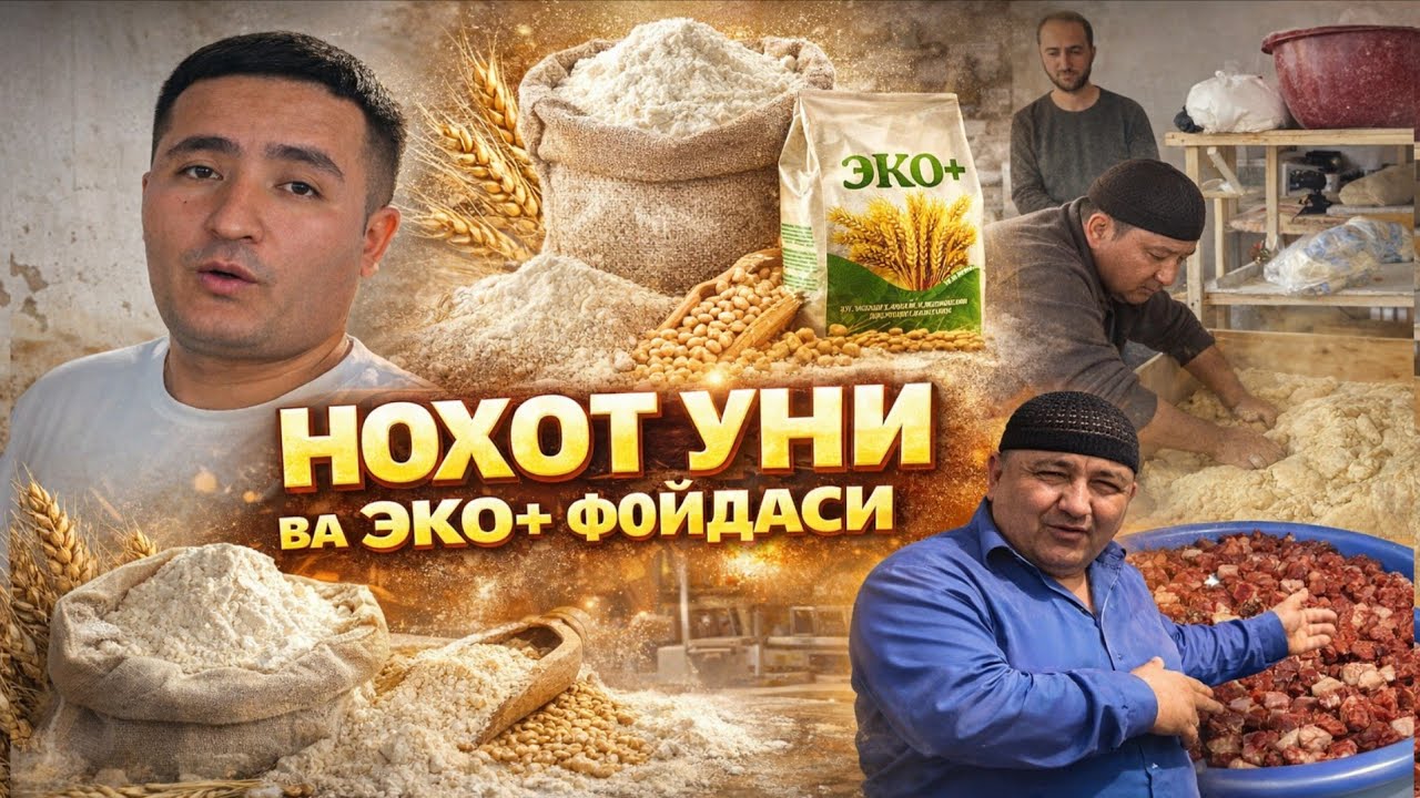 УЗБДА ШОК 😲 ХАБАР НОХОТ УНЛАРИ ВА ЭКО+ НИМА НАРСАГА ФОЙДАЛИГИНИ БИЛАСИЗ