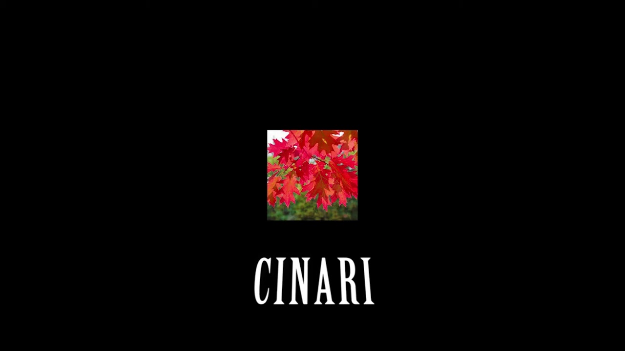 Cinari.  @Spatharimusic