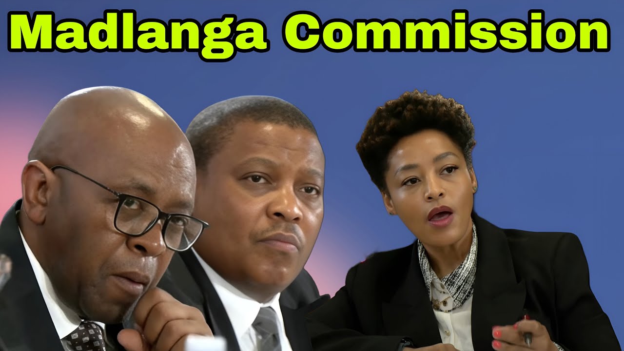 Madlanga Commission of Inquiry into General Mkhwanazi.