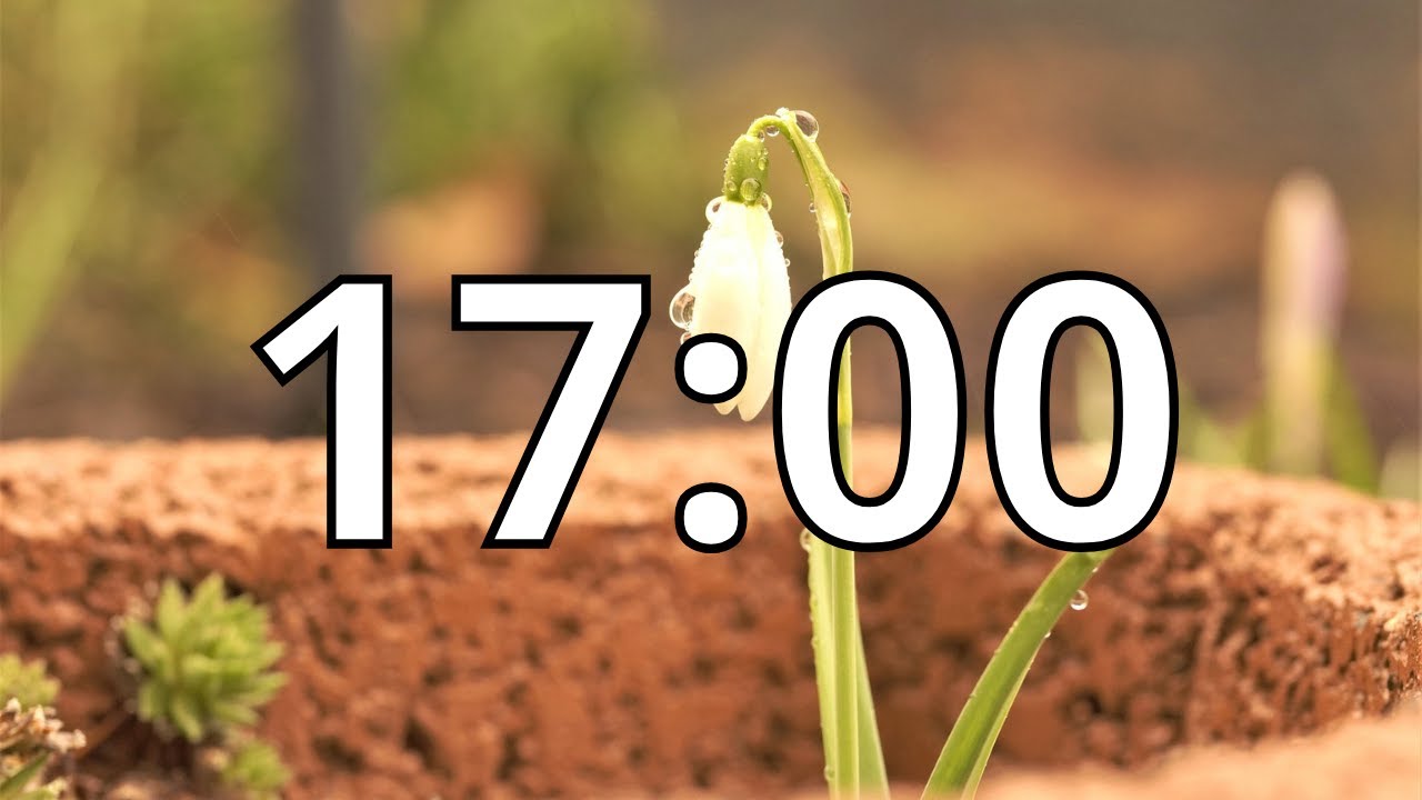 17 Minutes Timer with Music | Spring Timer