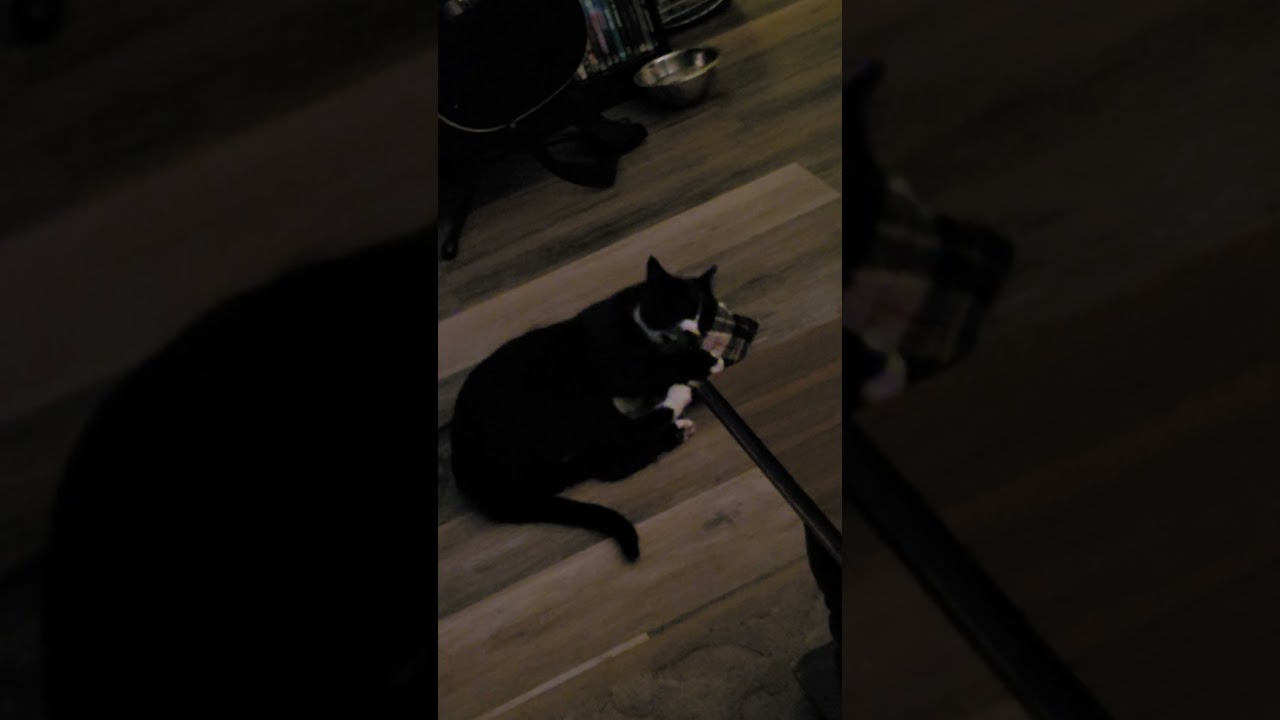 Mansons Catnip Pillow