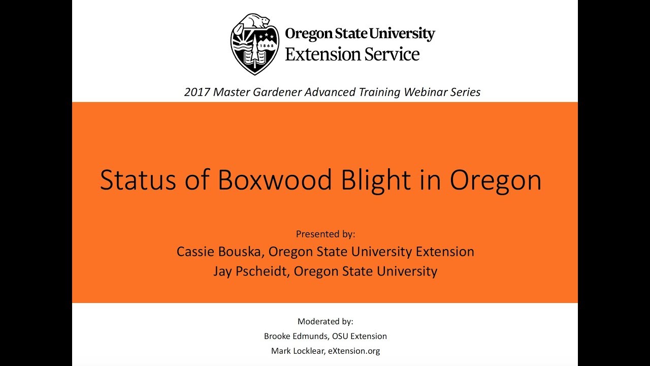 Status of Boxwood Blight in Oregon, 2017