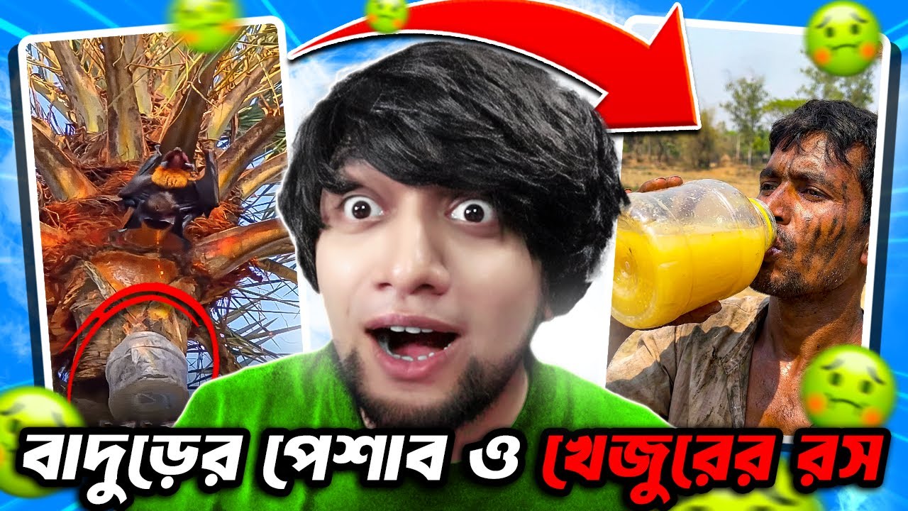 শীতকালে বাদুড়ের পেশাব ও খেজুরের রস
