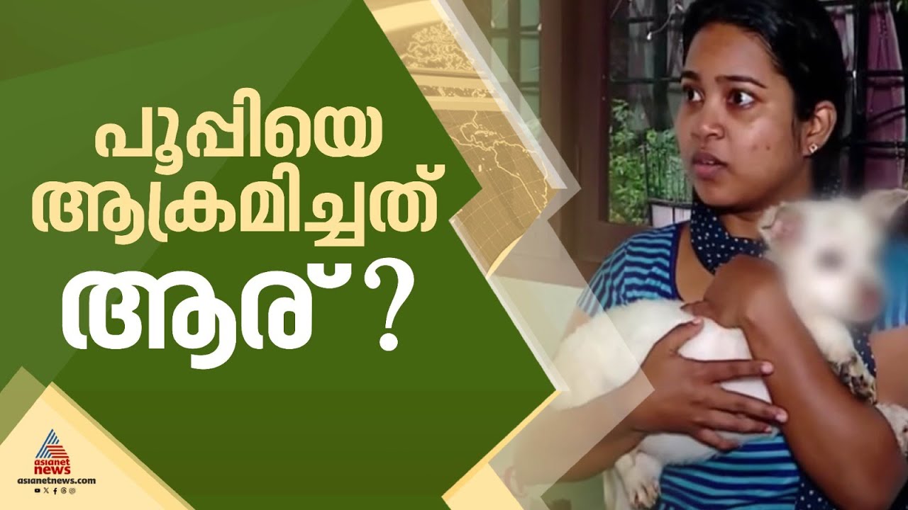 പൂപ്പി പോയി; എറണാകുളത്ത് അജ്ഞാതൻ രാസലായനി ഉപയോഗിച്ച് ആക്രമിച്ച നായ ചത്തു | Ernakulam | Dog